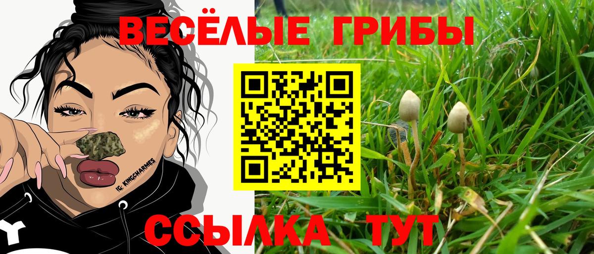 Псилоцибиновые грибы MAGIC MUSHROOMS  Вход с VPN  наркота  Миллерово  Псилоцибиновые грибы Cubensis 